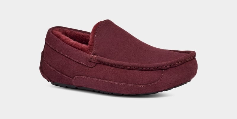 Purple Ugg Ascot Men's Slippers | South Africa-2784561