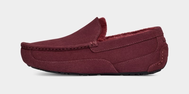 Purple Ugg Ascot Men's Slippers | South Africa-2784561