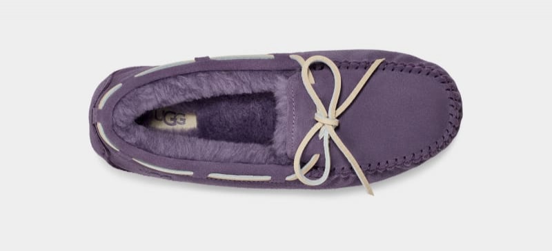 Purple Ugg Dakota Women's Moccasins | South Africa-7201658