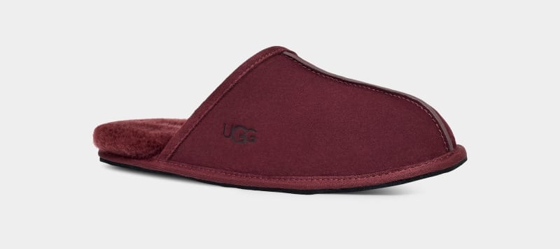 Purple Ugg Scuff Men's Slippers | South Africa-1062458