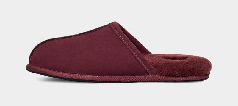 Purple Ugg Scuff Men's Slippers | South Africa-1062458