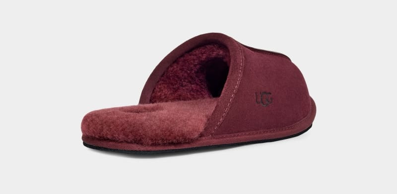 Purple Ugg Scuff Men's Slippers | South Africa-1062458