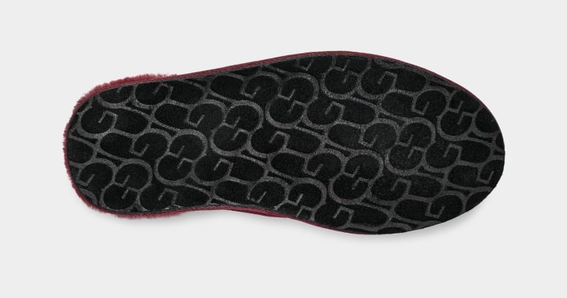 Purple Ugg Scuff Men's Slippers | South Africa-1062458