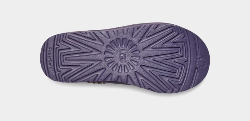 Purple Ugg Tasman Women's Slippers | South Africa-7824690