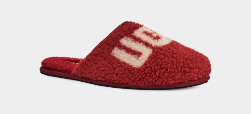 Red Burgundy Ugg Scuff Curly Graphic Men's Slippers | South Africa-2617984