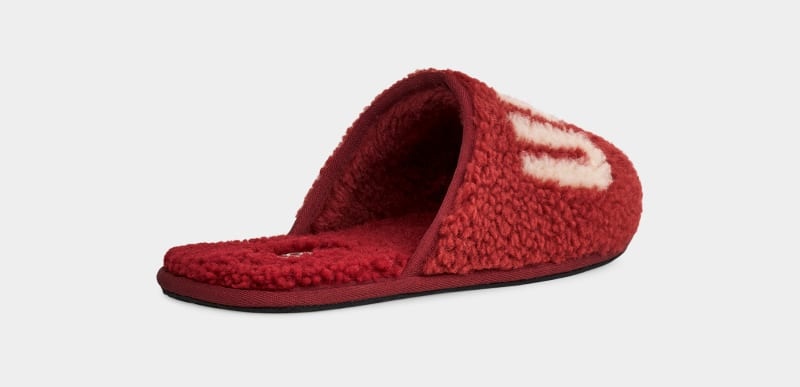 Red Burgundy Ugg Scuff Curly Graphic Men's Slippers | South Africa-2617984