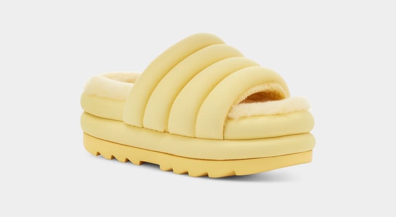 Yellow Ugg Maxi Women's Slides | South Africa-0821936